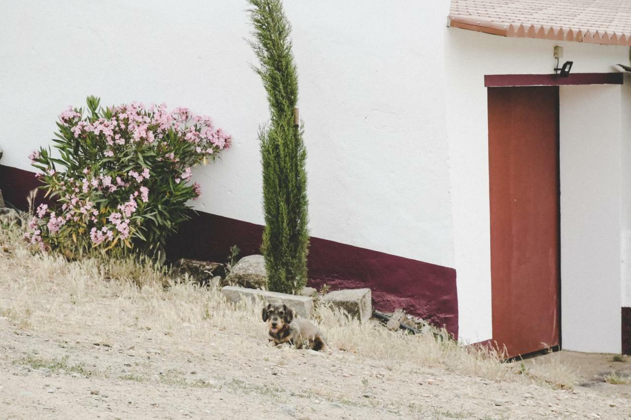 Casas da Faia - Nature Guest House Arronches Extérieur photo